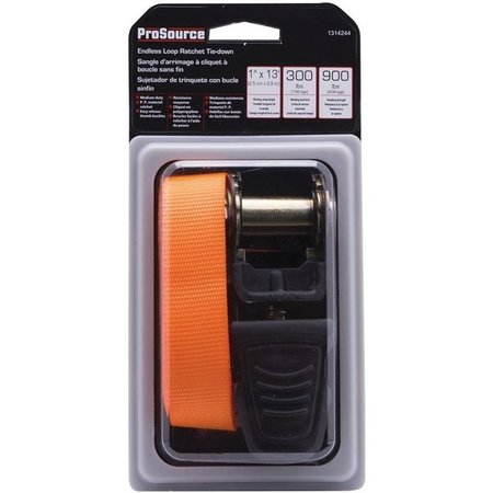 PROSOURCE Tiedown Rcht Endloop 1Inx13Ft FH64070-1